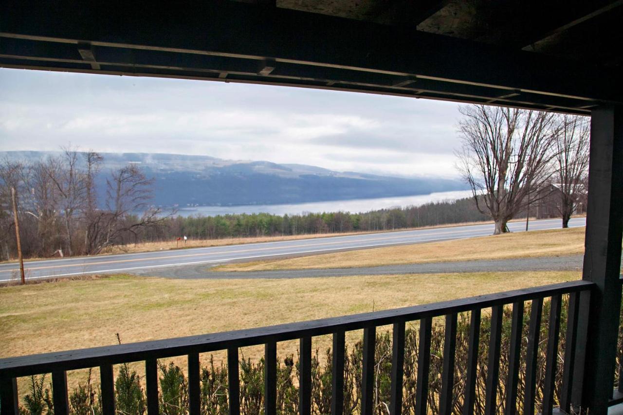 Purple Parrot - B&B Hammondsport