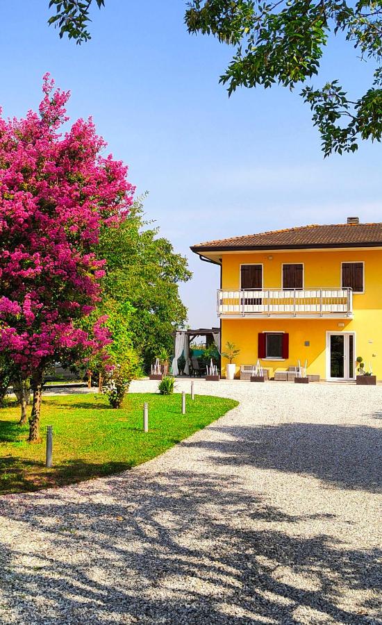 YARD 151 - B&B