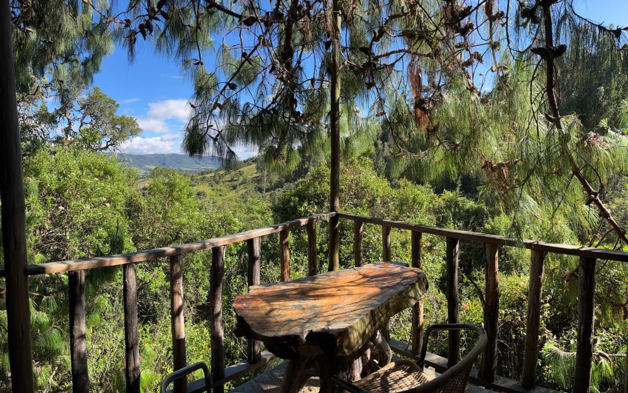 Cabin at Blueberry Farm - Bed and Breakfast Subachoque