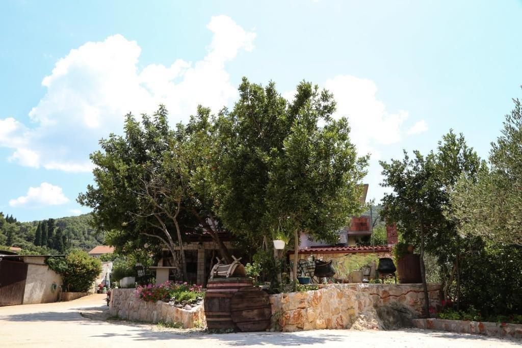 Apartments with parking spaces Dol, Hvar - 24122 - B&B