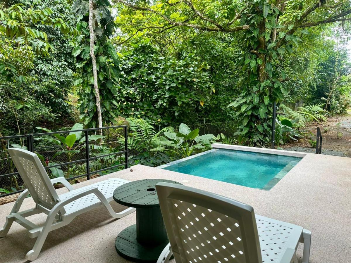 Casa de Bosque con Piscina - B&B