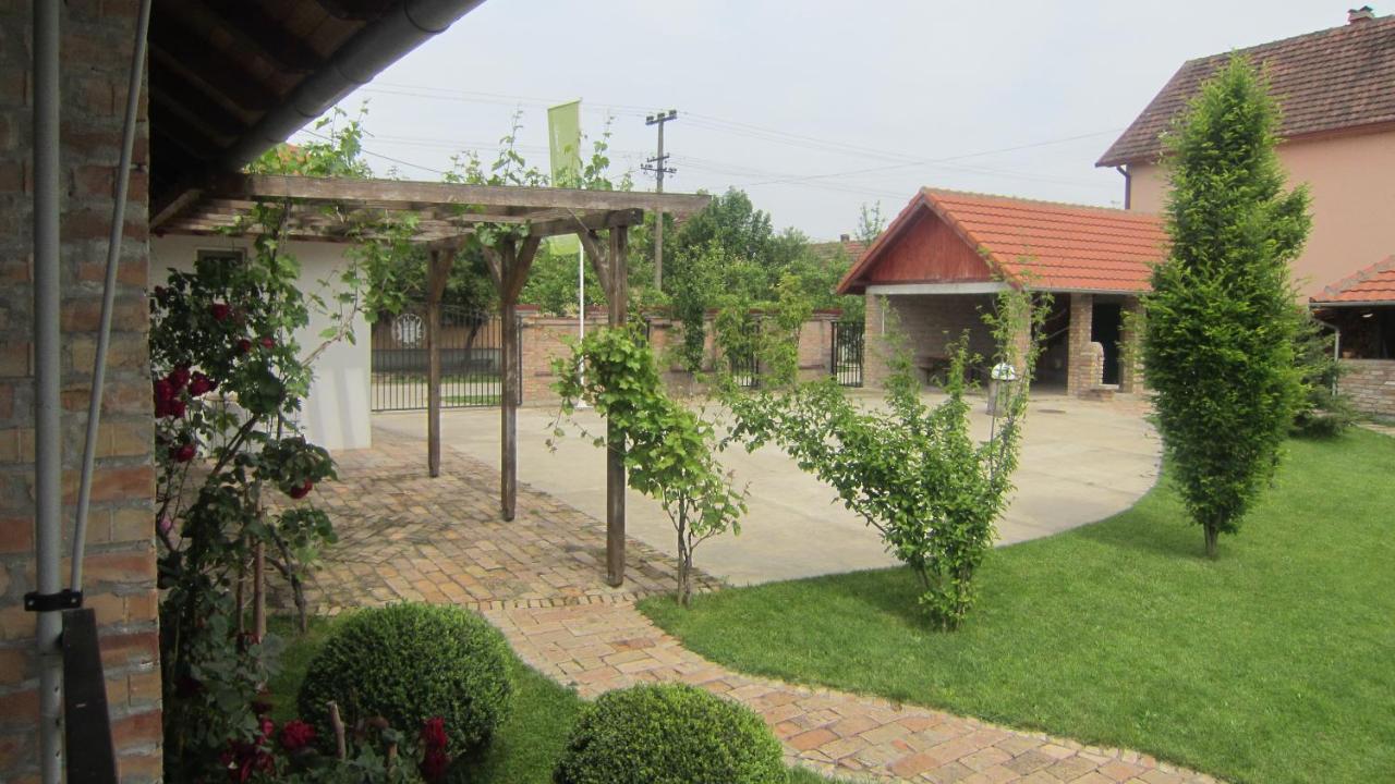 Vila Sunce Morovic - Bed and Breakfast Morović