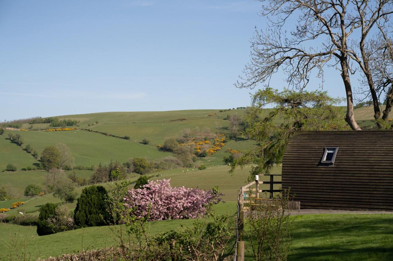 Knighton by Wigwam Holidays - Ferienwohnung Knighton