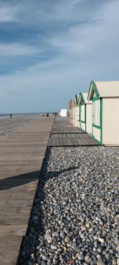 Coquillages et crustacés à Cayeux sur mer - B&B Cayeux-sur-Mer