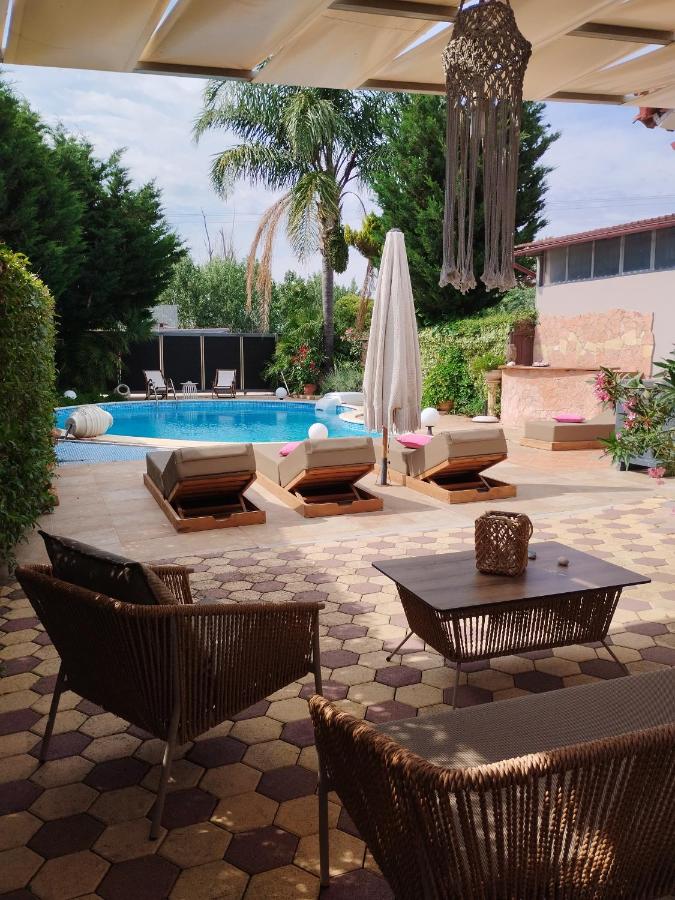 Luxury Villas Chrysa Private Pool & Spa - B&B