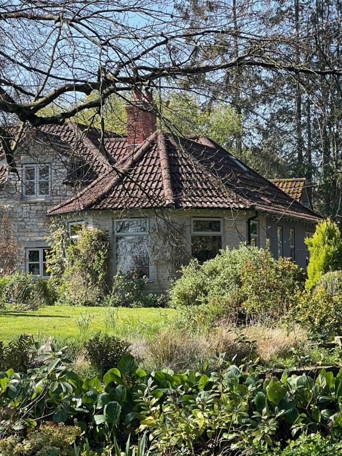 The Annexe at Fishponds - Chambres d’hôtes Glastonbury