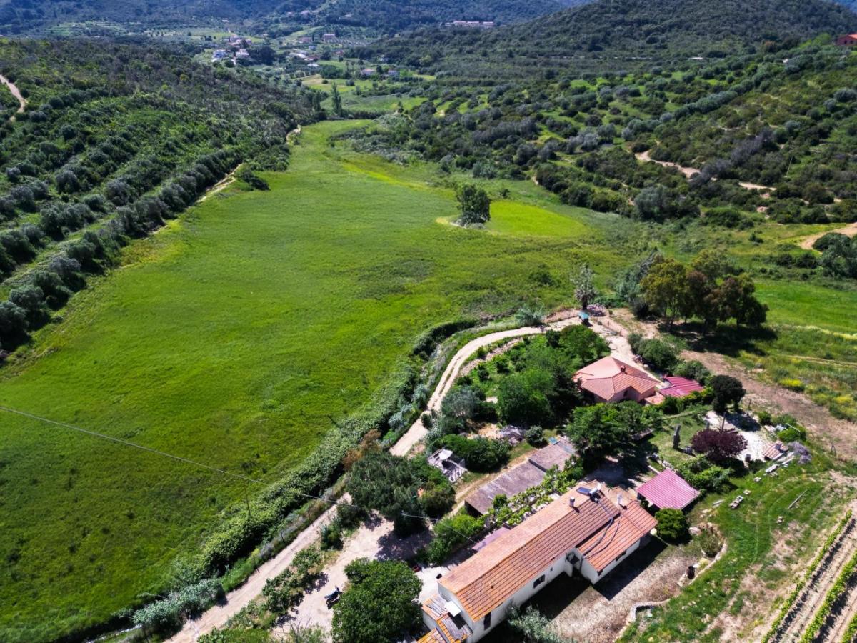 Podere Al Buraccio - Elba Affitti - B&B