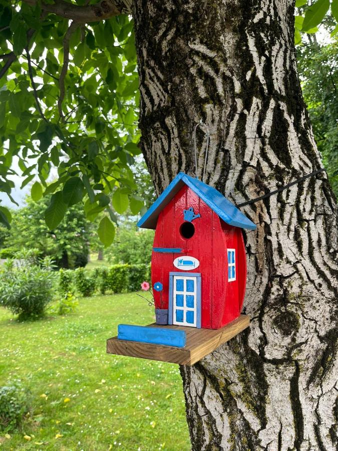 La Dolce Vita. Alloggio nel verde cuore del Friuli Venezia Giulia - B&B Mariano del Friuli