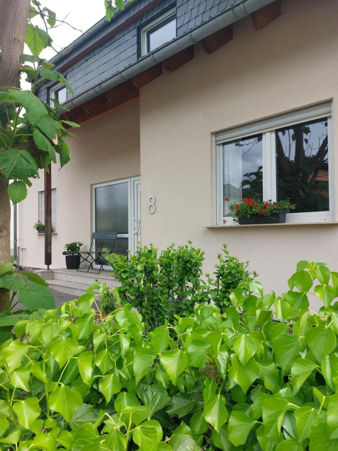 FeWo's Weinbergblick Wintrich by Brauneberger Hof - Ferienwohnung