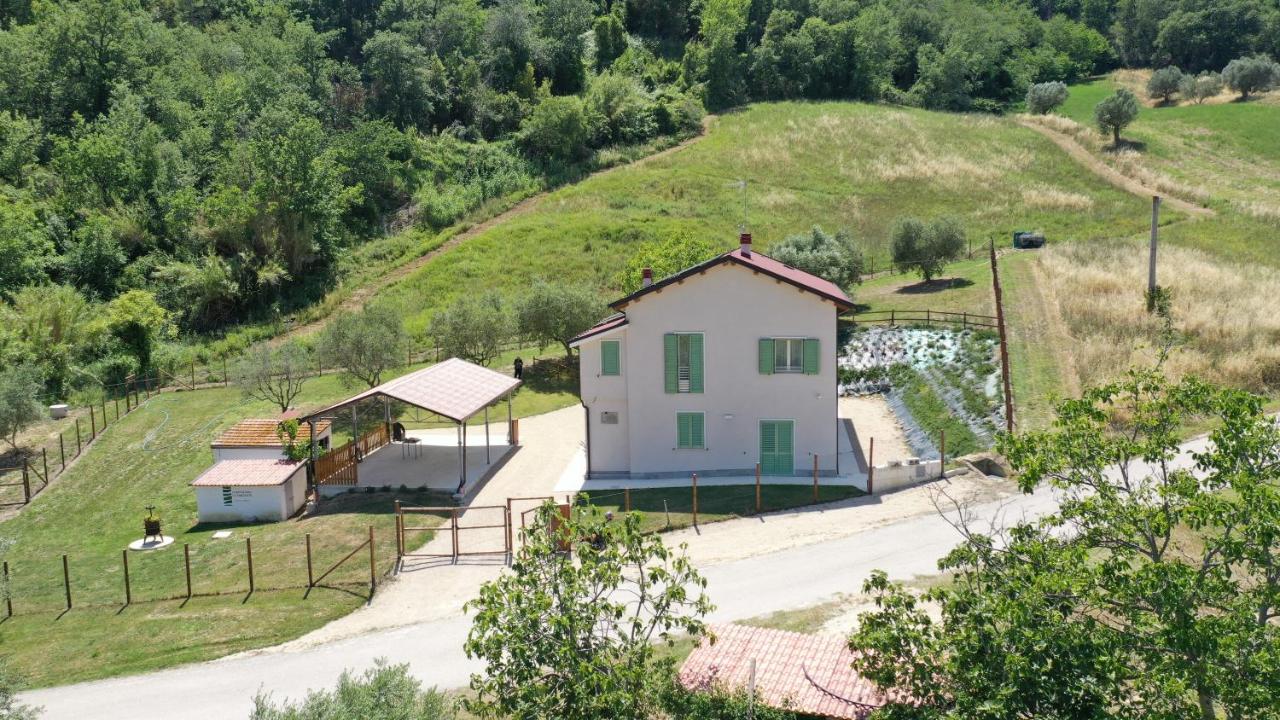 Superior Villa
