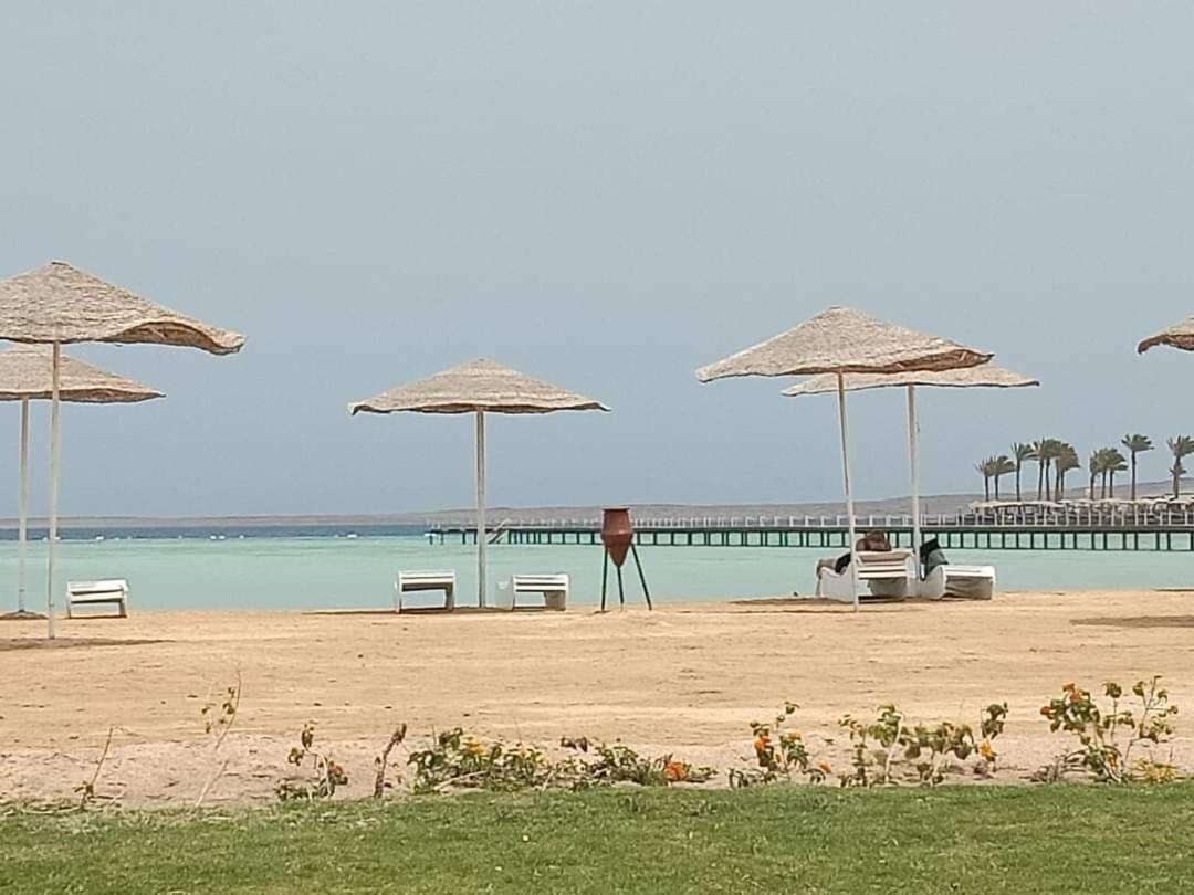 pola studio at scandic resort - B&B Hurgada