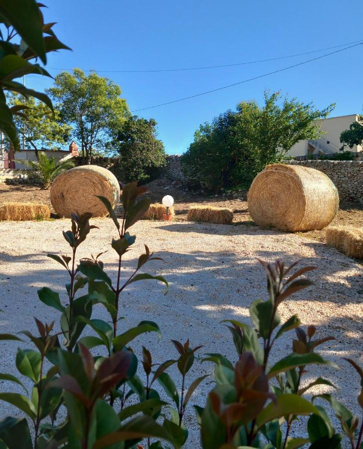 Il trullo della nonna - B&B Martina Franca