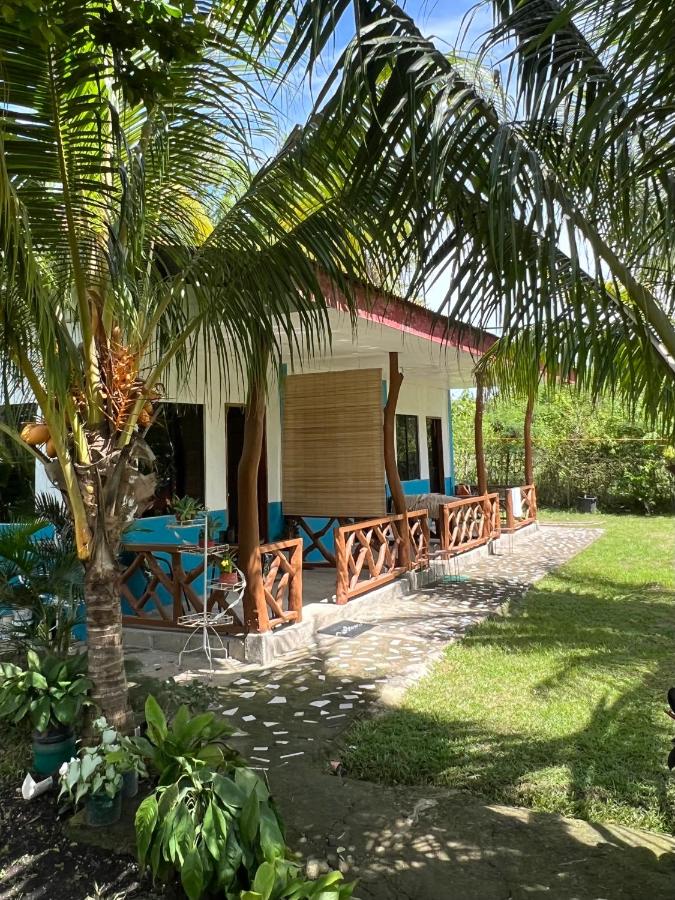 Palm Haven w Starlink - Ferienwohnung Siquijor
