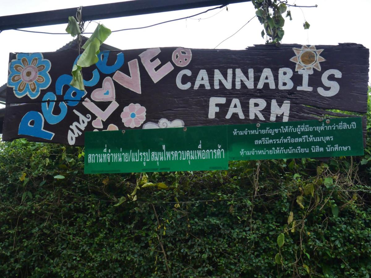 Muangkham Peaceandlove Farm - Ferienwohnung Ban Doi Hang