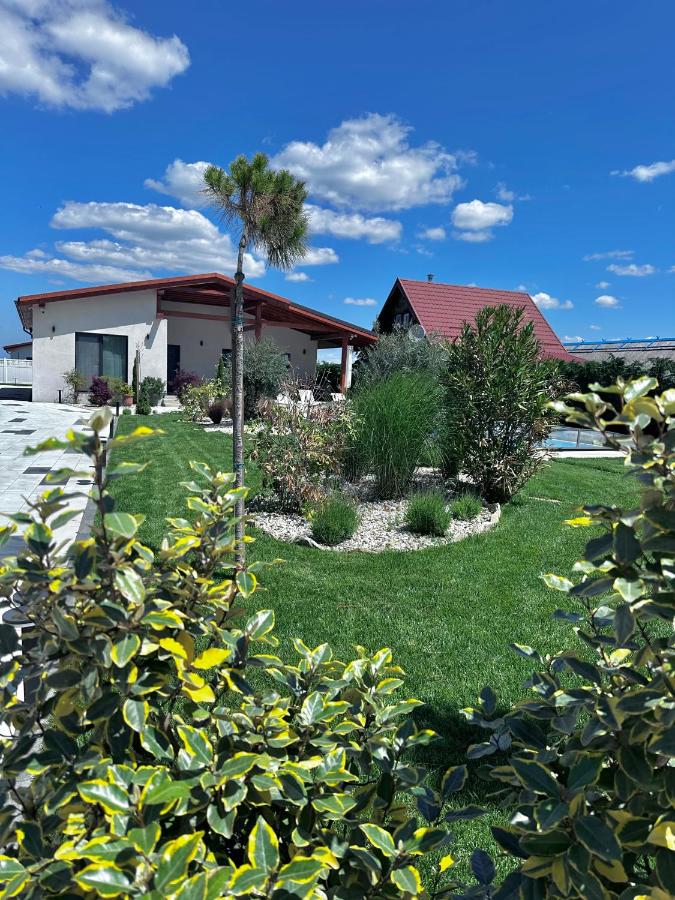 Vila Alma - B&B