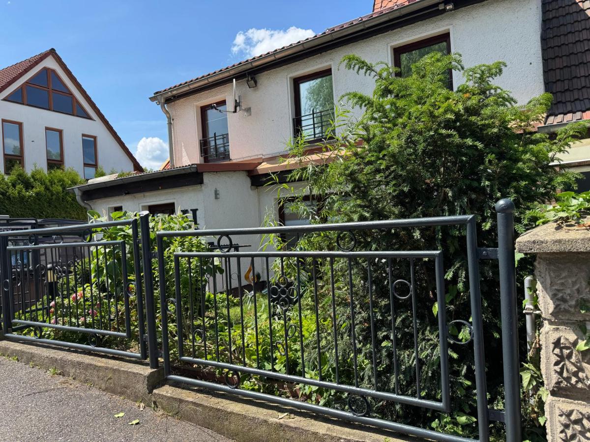 Haus Heiken Apartment Sonnenblume - B&B Altenburg