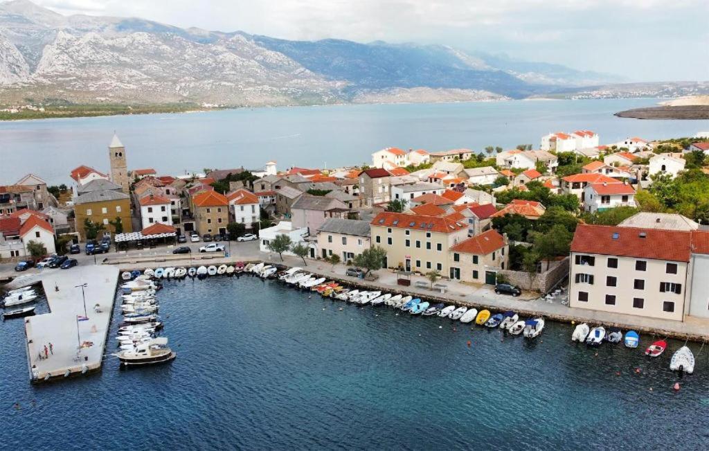 Apartments Tamarix - Bed and Breakfast Vinjerac