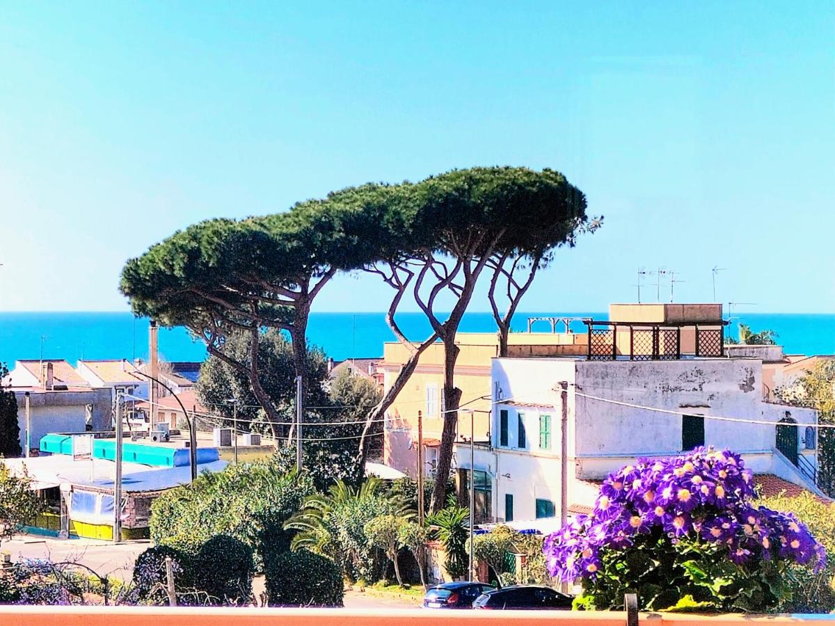 Anzio Paradise - B&B Anzio