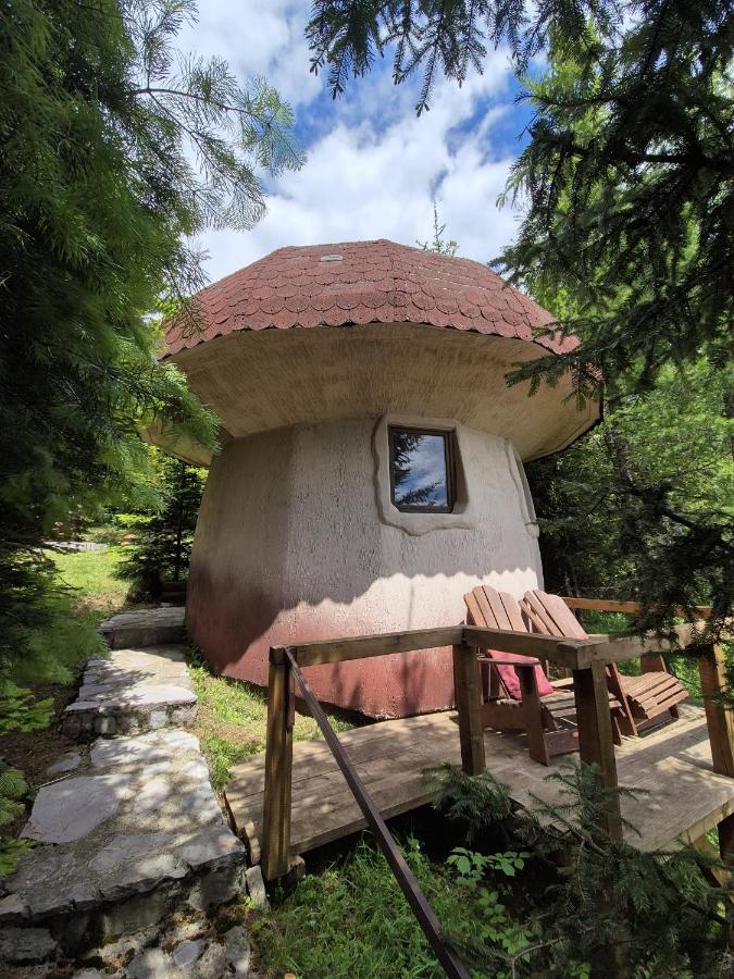 Art Apartments Minic - Ferienwohnung Kolašin