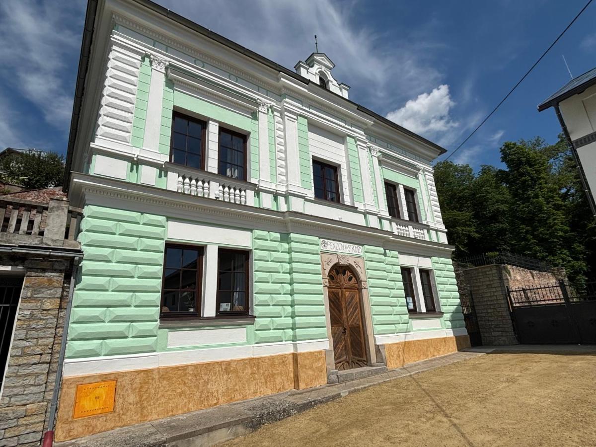 Penzion Za Stromem - B&B Opočno