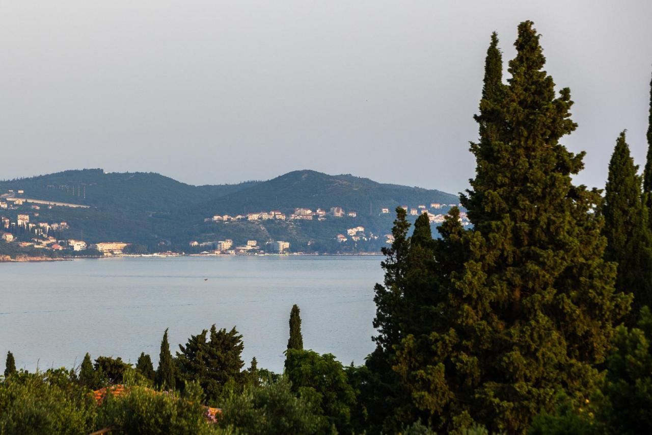 Apartment Lucija - B&B