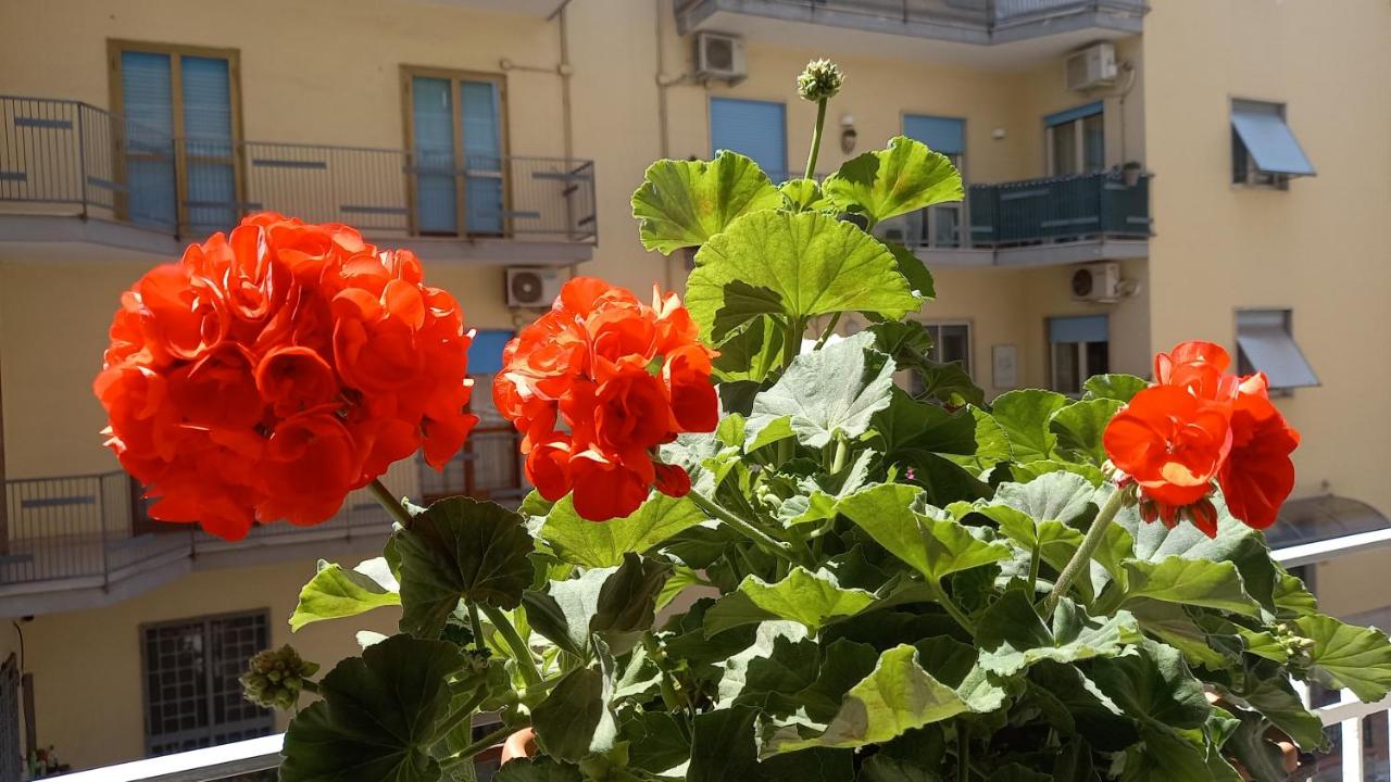 B&B Maestra Giovanna - B&B Pompei