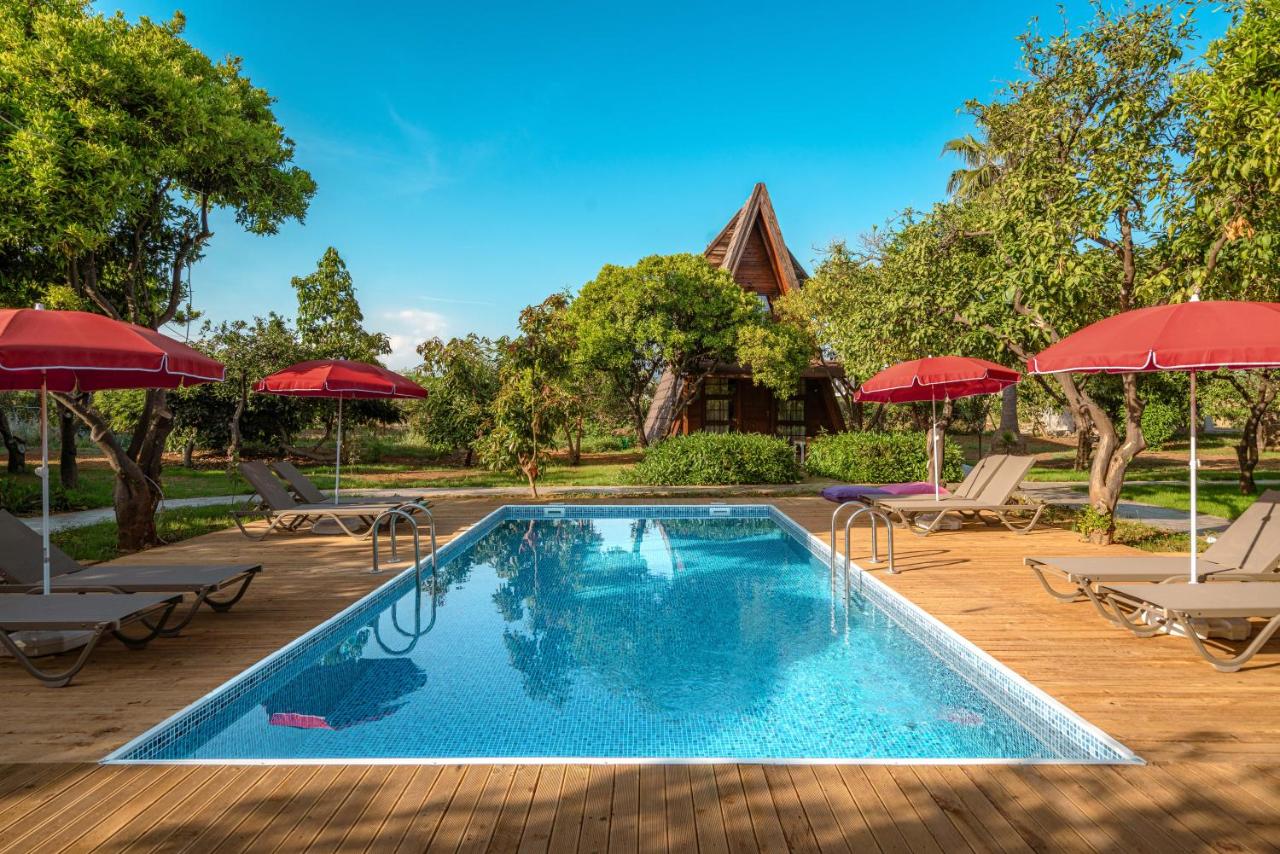 Mandarin Bungalow - B&B Alanya