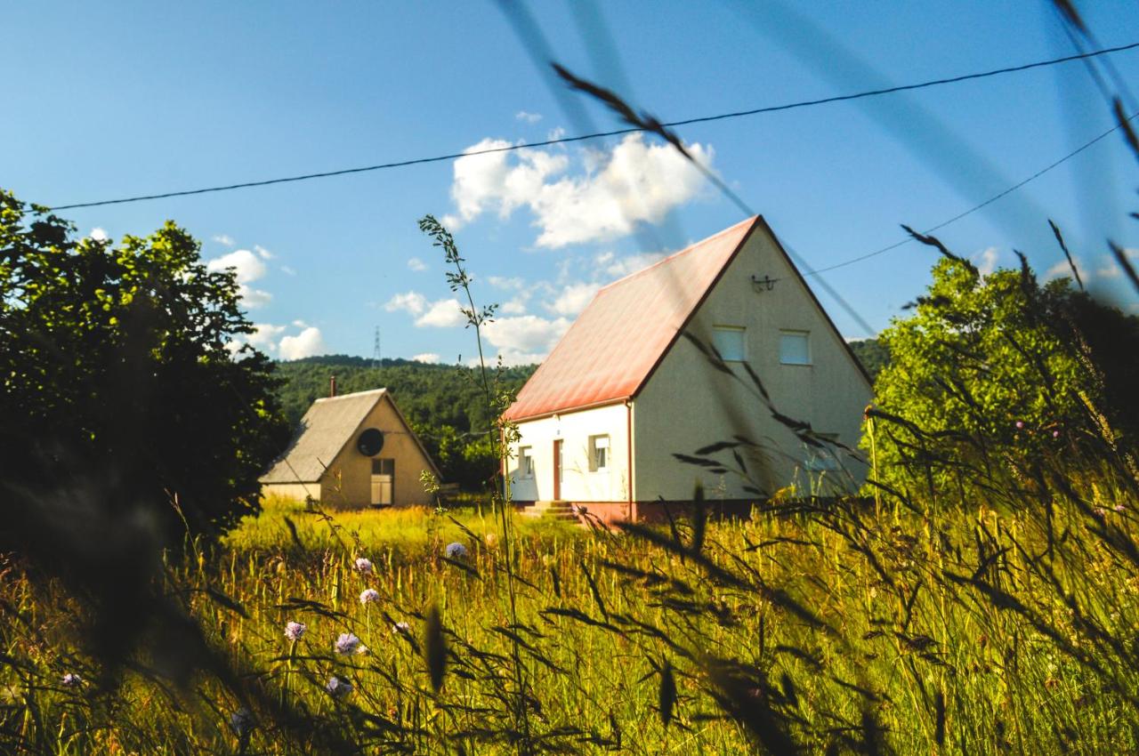 House Duzi - B&B