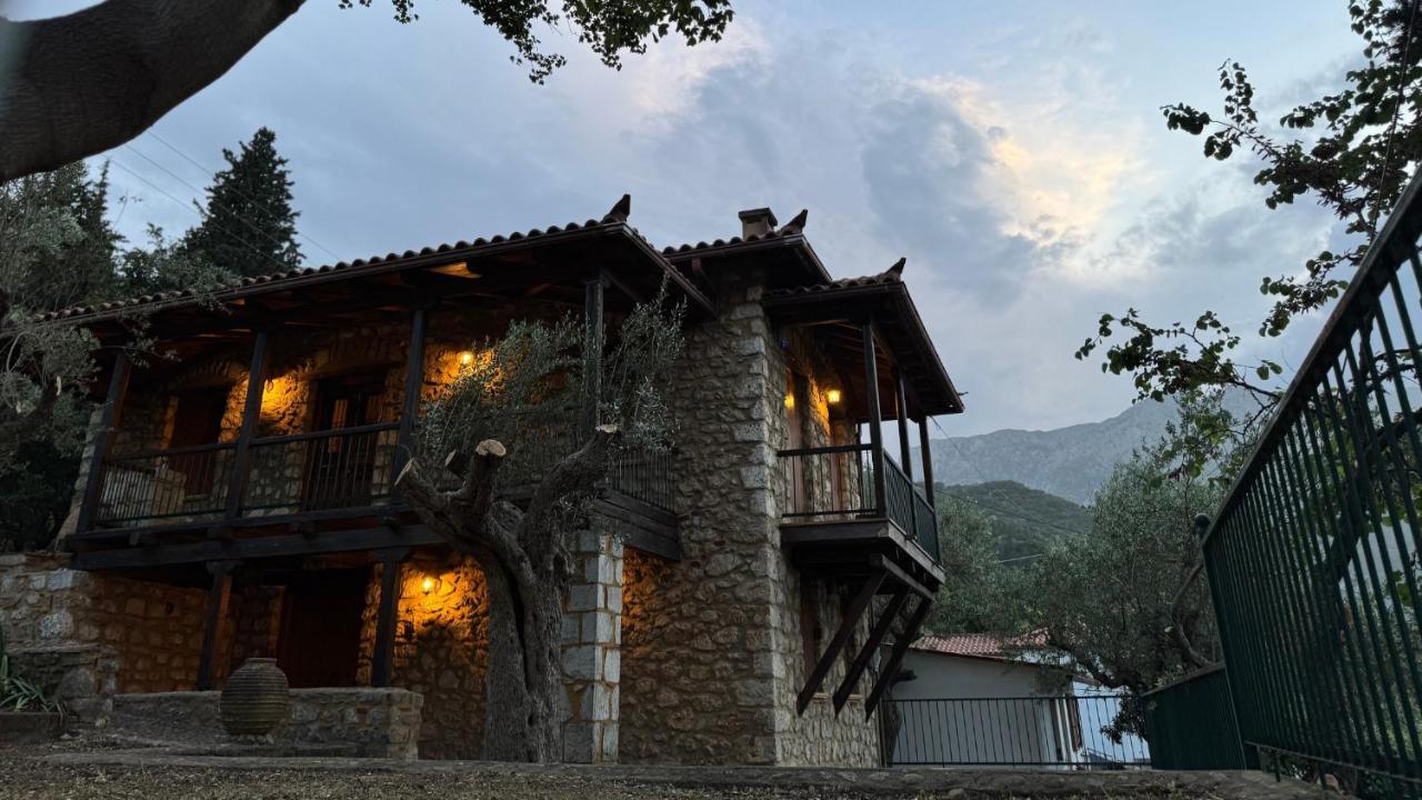 Trypinest - B&B Sparta