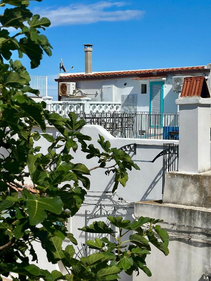 Vieste Rooftop - Sea view near Pizzomunno - Free private Parking - Ferienwohnung Vieste