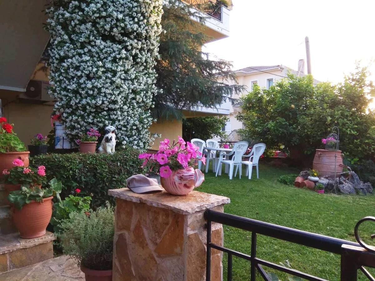 COZY APPARTMENT in ETHNIKI ANTISTASI - B&B Néa Seléfkeia