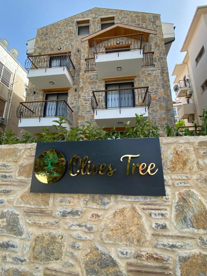 olives tree - B&B