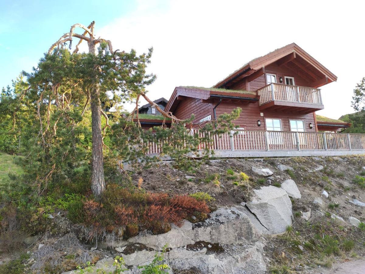 Hyggelig Blikk - Mountain Cabin with Sauna & Ski Access - B&B Vrådal