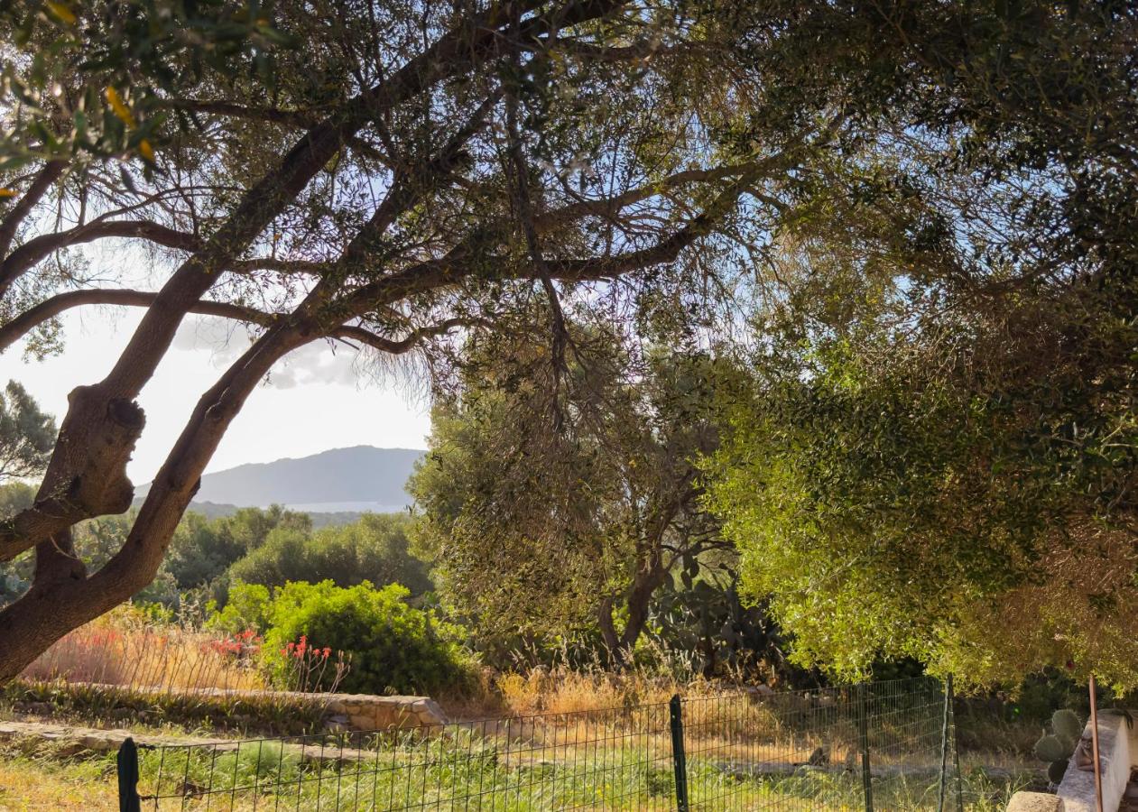 Villa Maison Rosabianca Country Escape - Costa Smeralda - B&B