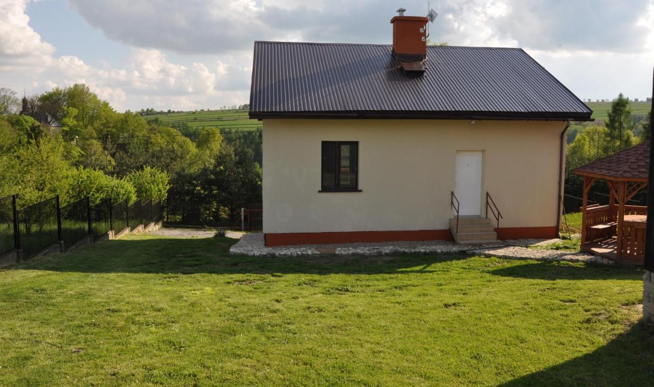 Grodzisko11