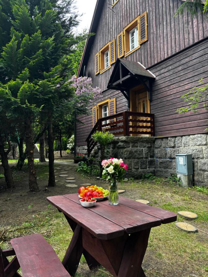 Biały Jar Ski & Bike Apartamenty w Karpaczu przy wyciągu z widokiem - Chambres d’hôtes
