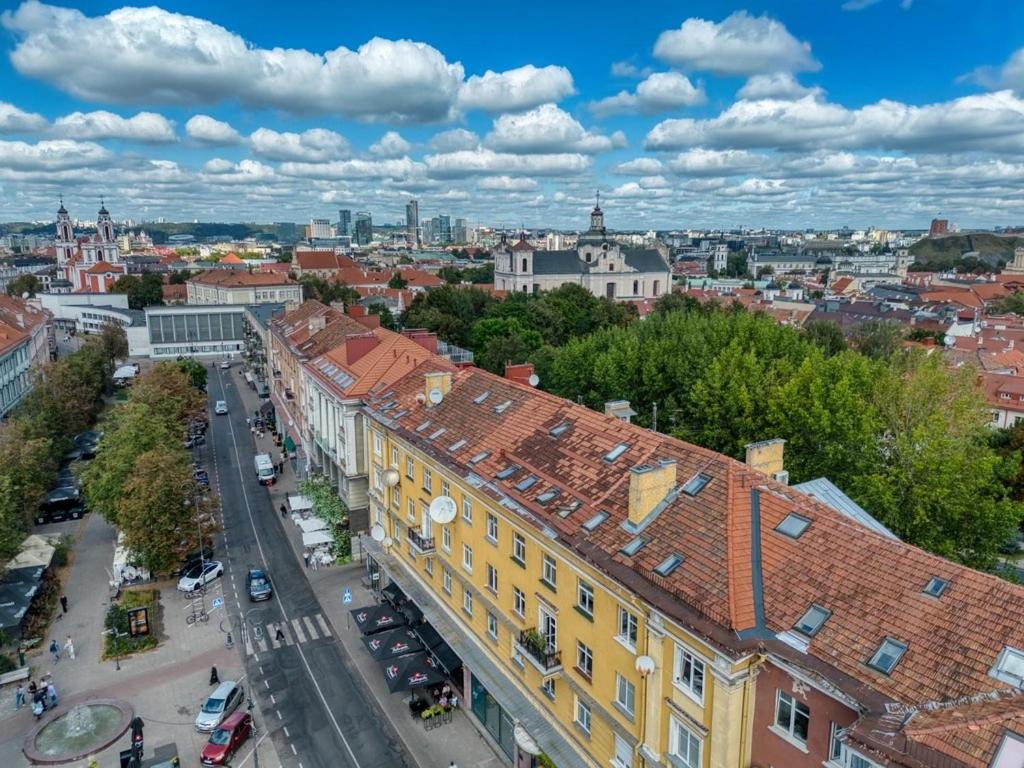 Vilnius Old Town Amber Penthouse - B&B