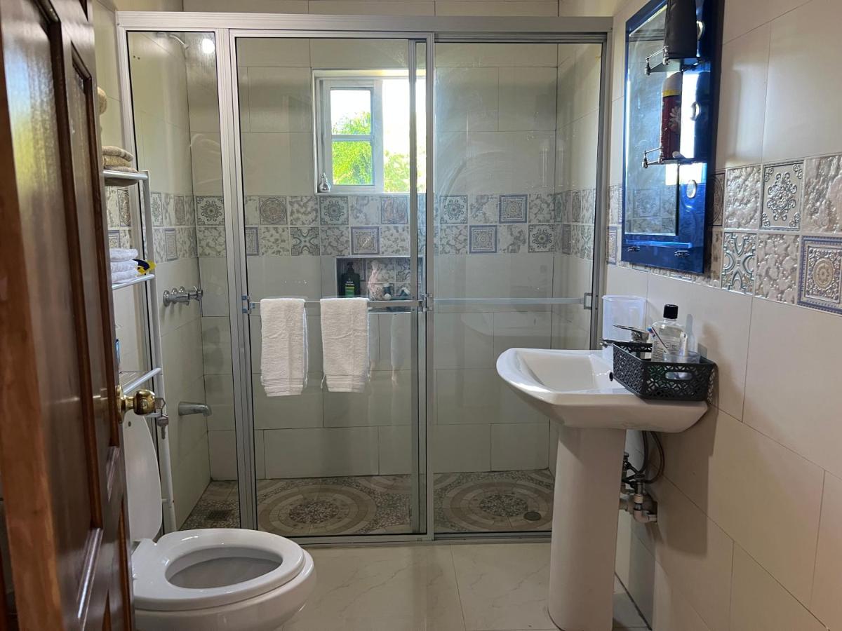 Auglo villa house - B&B Black River