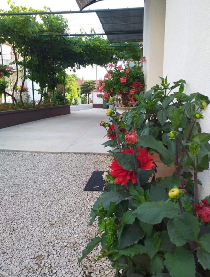 Apartamento de 2 dormitorios