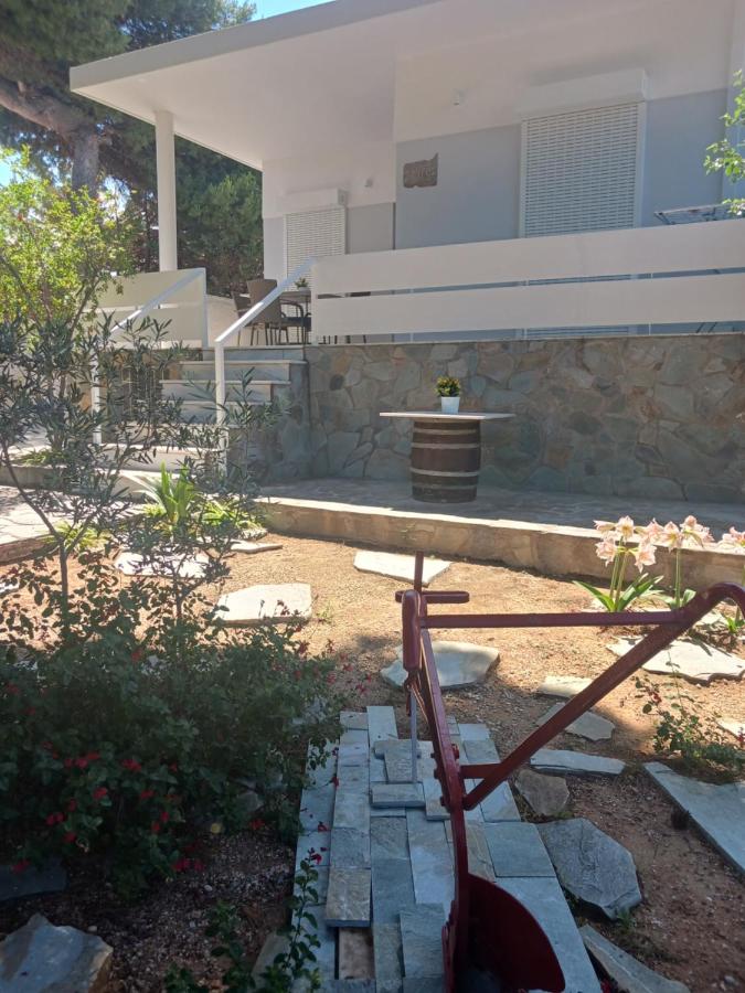 Theros & Trygos Boutique Houses - ATH Airport - B&B