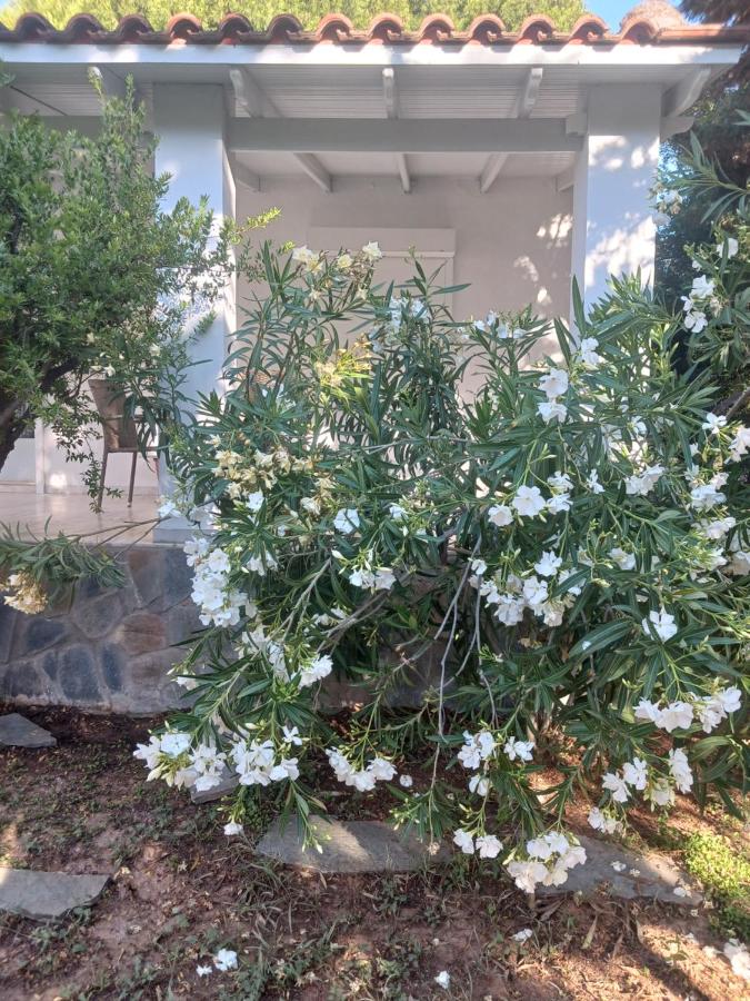 Appartement - Vue sur Jardin