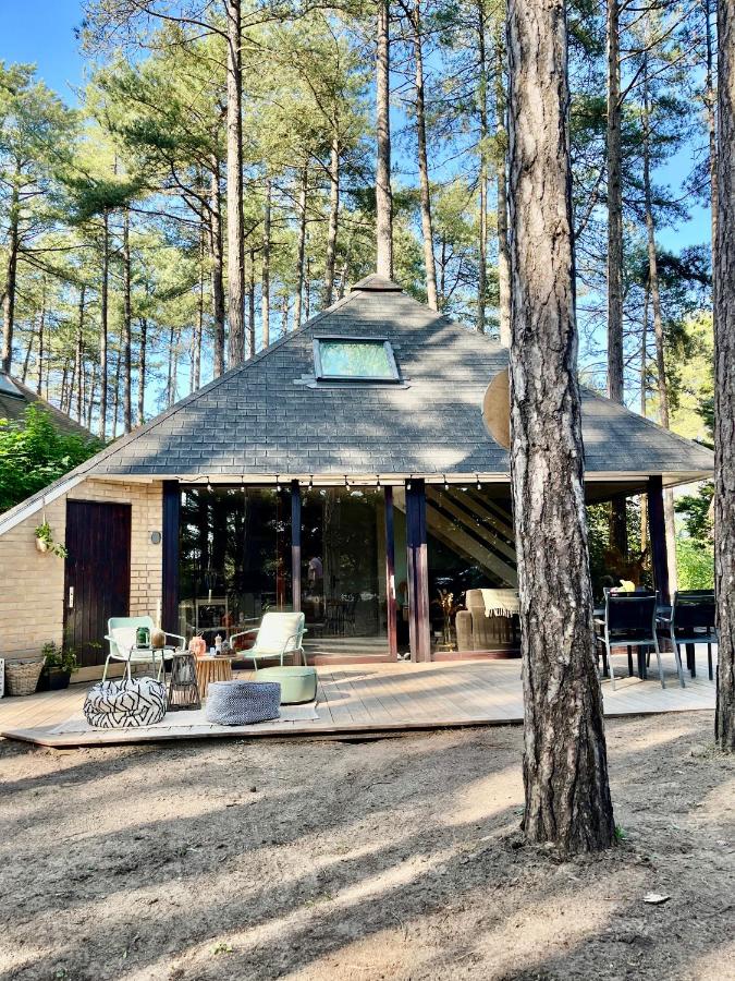 L Orée de la Pinède Hardelot Plage à 800 metres de la mer sous les pins - B&B Hardelot-Plage