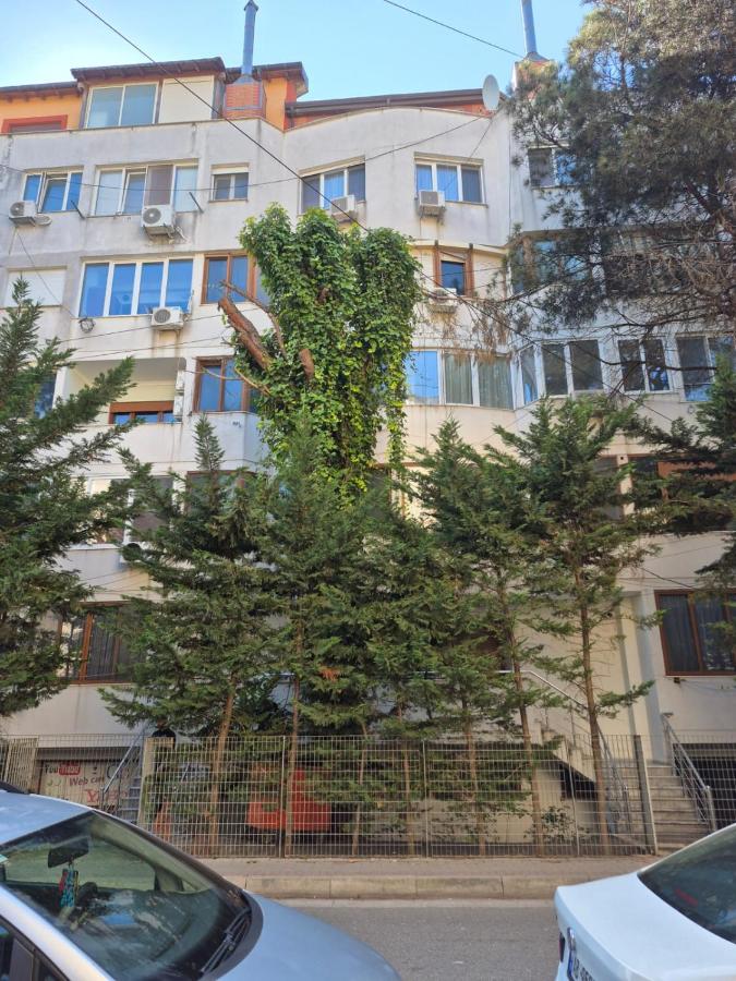 Under Pines - Beach Apartment - B&B