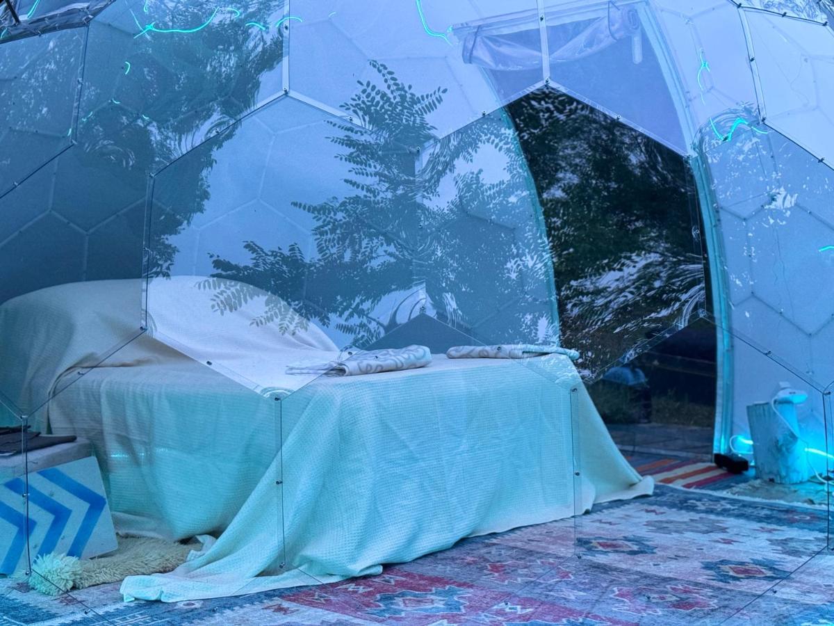 Doppel-/Zweibettzimmer mit Zugang zum Swimmingpool