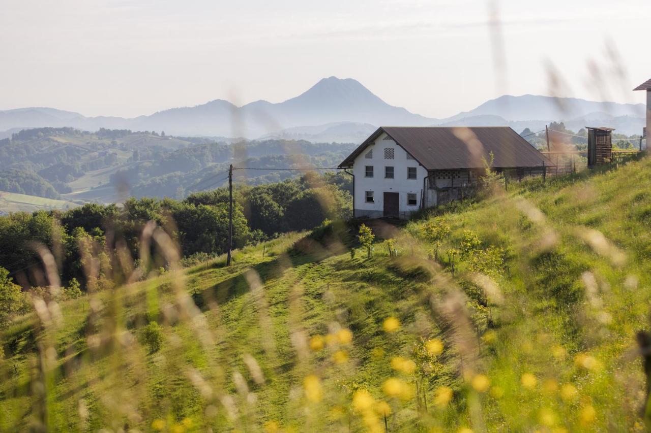 Apartma PRI AJHECI - Bed and Breakfast Pristava pri Mestinju