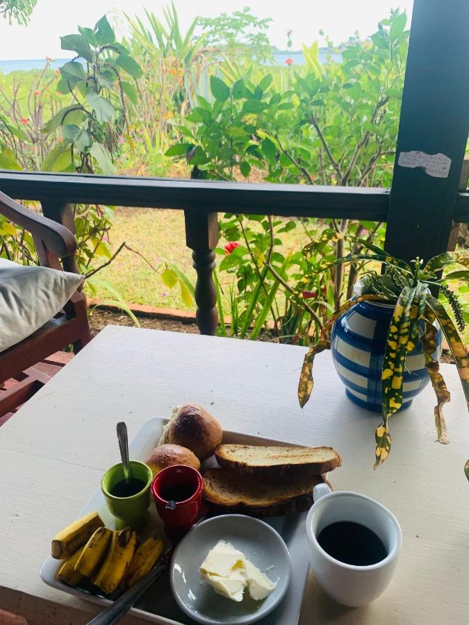 La Table d Alexandre Gîte de charme entre mangrove et mer - B&B