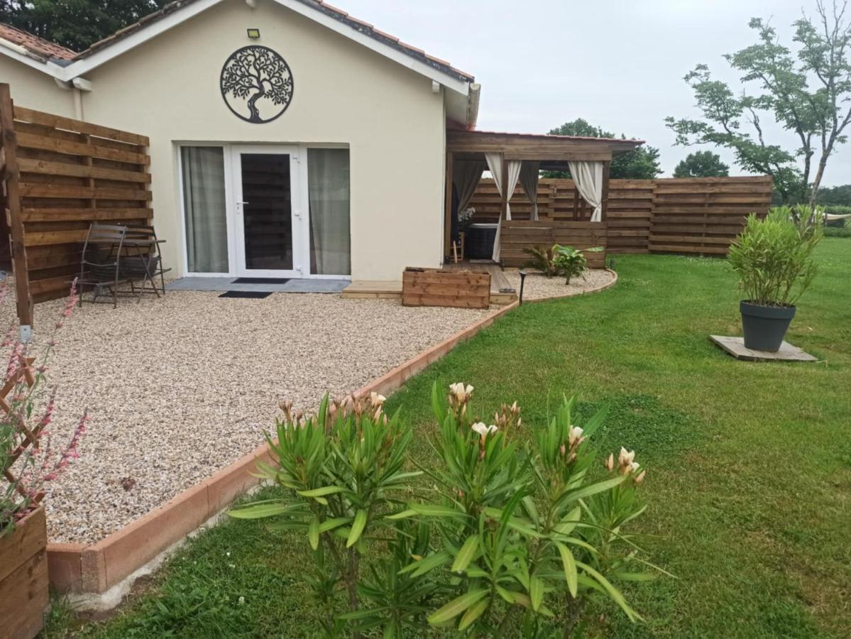 Loft Nature & Bien-Être - Chambres d’hôtes Montcaret