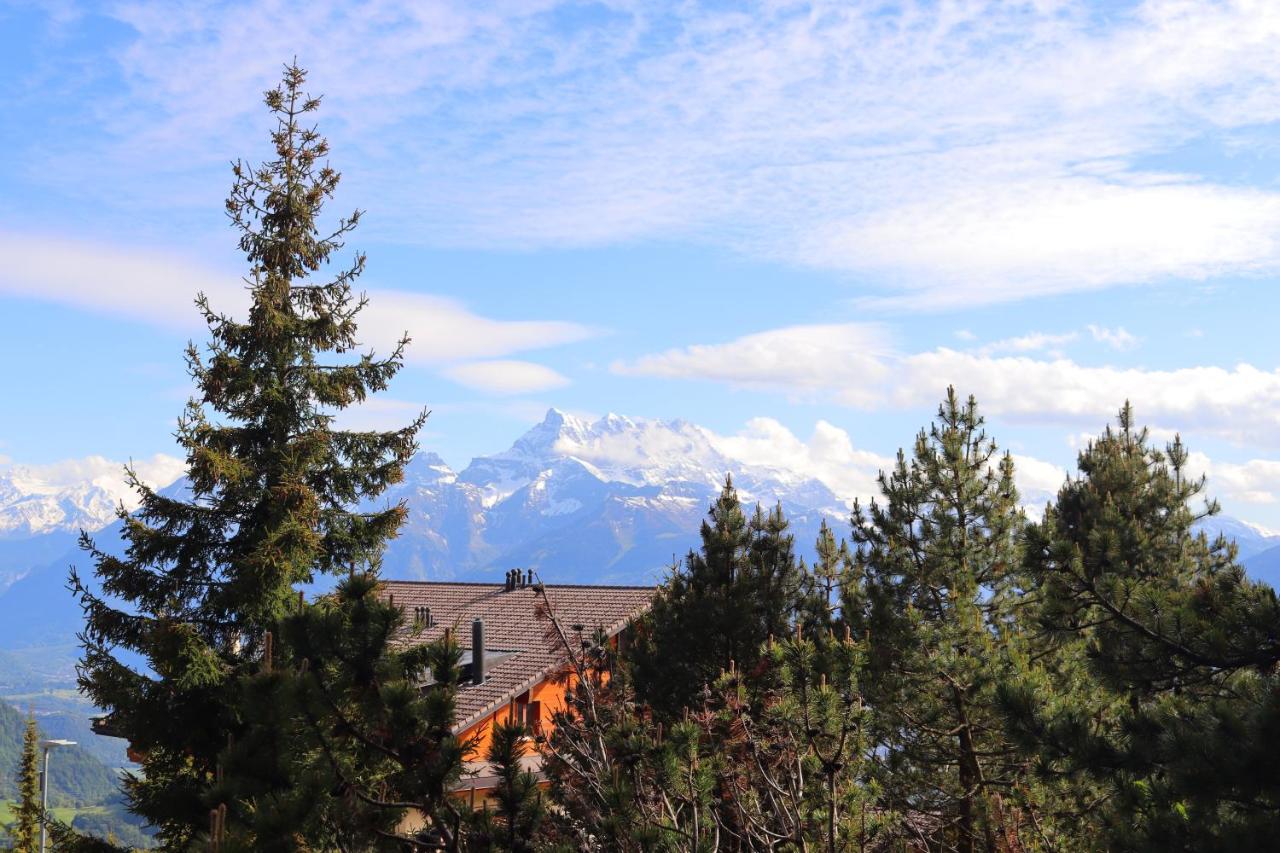 Evasion Rez - Ferienwohnung Leysin