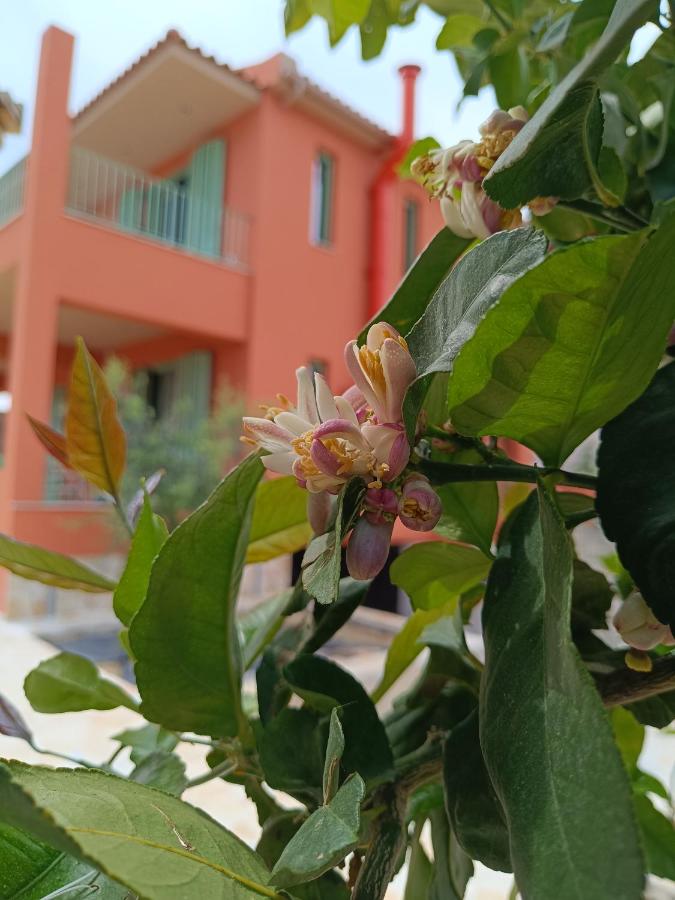 Alkyoni luxury apartments Katakolo - B&B Katákolo