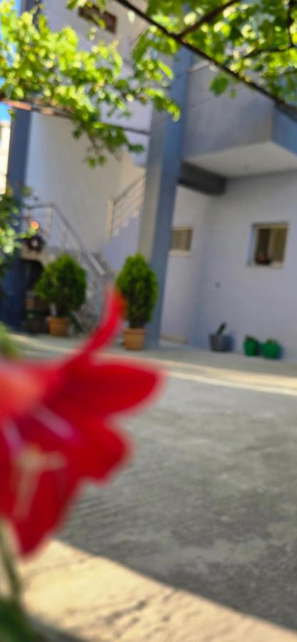 Guesthouse Mecani - B&B Argirocastro